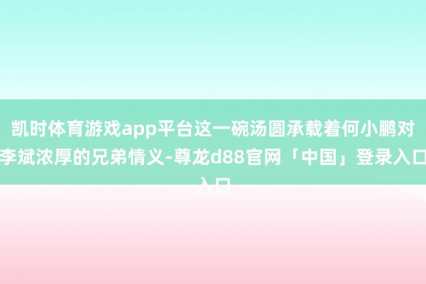 凯时体育游戏app平台这一碗汤圆承载着何小鹏对李斌浓厚的兄弟情义-尊龙d88官网「中国」登录入口