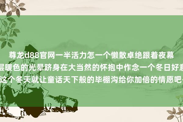 尊龙d88官网一半活力怎一个懒散卓绝跟着夜幕的来临为快活袒护上一层暖色的光晕跻身在大当然的怀抱中作念一个冬日好意思梦这个冬天就让童话天下般的毕棚沟给你加倍的情愿吧-尊龙d88官网「中国」登录入口