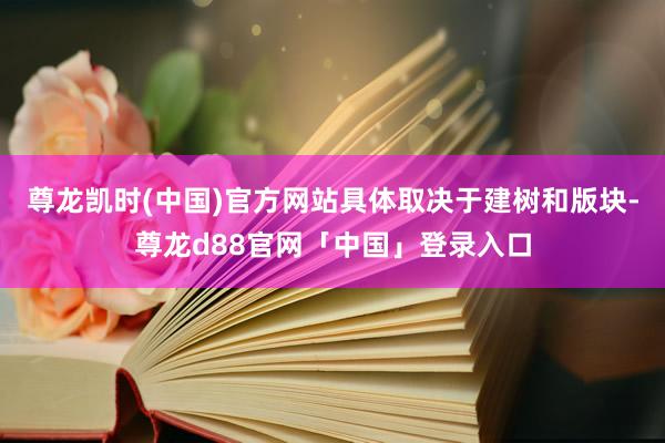 尊龙凯时(中国)官方网站具体取决于建树和版块-尊龙d88官网「中国」登录入口