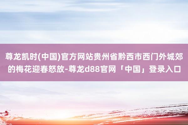 尊龙凯时(中国)官方网站贵州省黔西市西门外城郊的梅花迎春怒放-尊龙d88官网「中国」登录入口